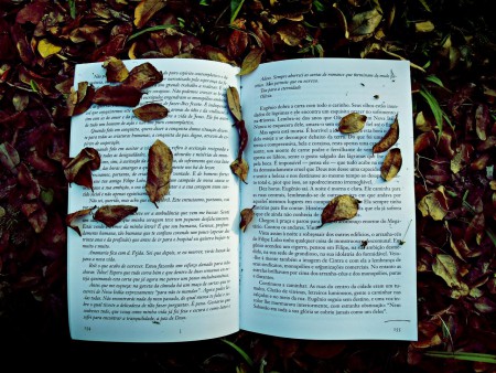 Clique para ver maior! Só "salvar como" e colocar como plano de fundo do seu computador! (Todas as imagens, mesmo pequenas se adaptam sozinhas a tela do seu computador)